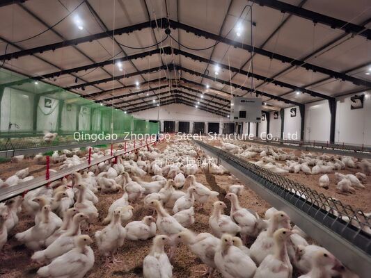 Customizable Prefabricated Steel Structure Poultry House with Robust Structural Design for Chicken Farming
